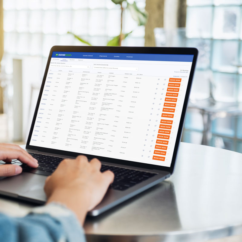 A shipper on a laptop using EchoShip, Echo's LTL and truckload shipping platform.