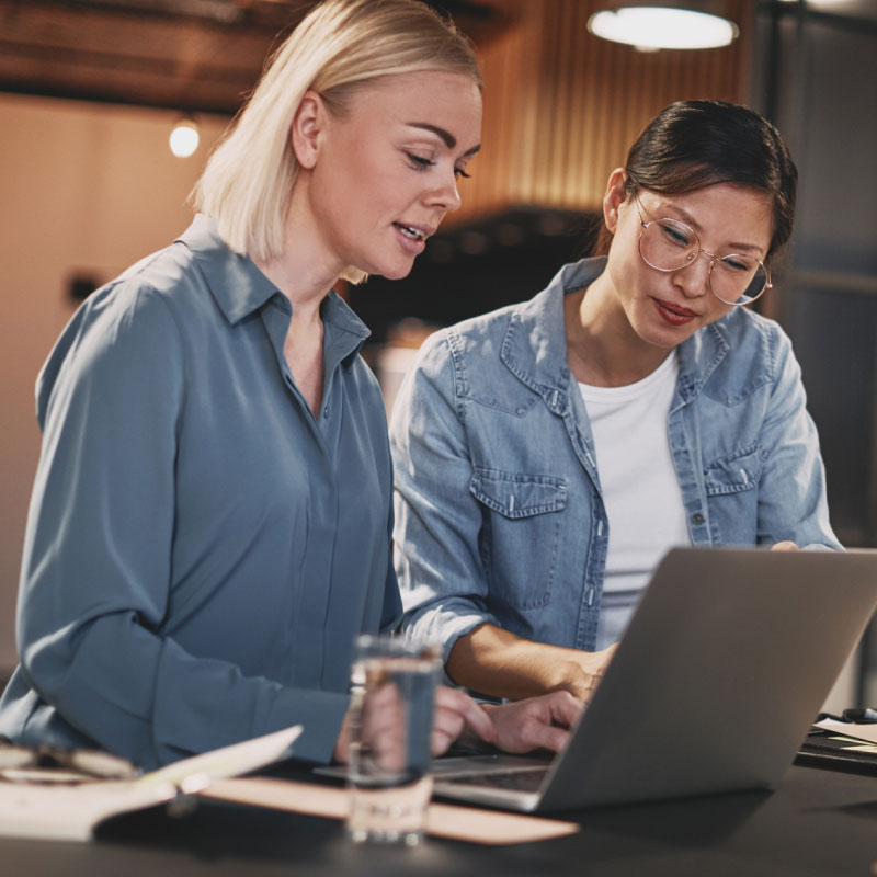 Two employees working at laptop